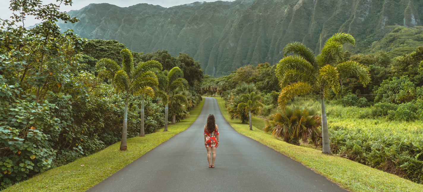 Mis vacaciones en Hawai | Candy Picnic